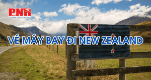 ve-may-bay-di-new-zealand