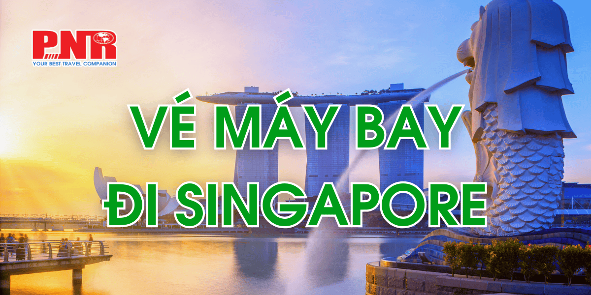 ve-may-bay-di-singapore