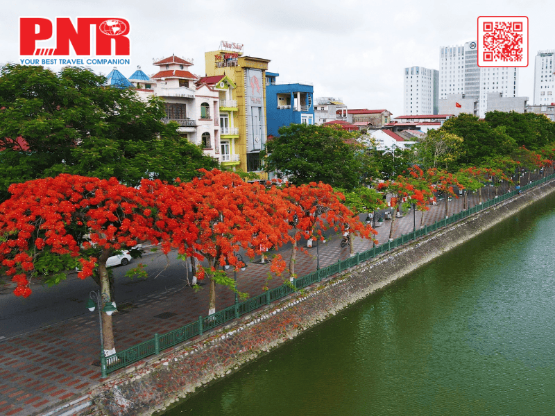 ve-may-bay-di-hai-phong-gia-re-tai-pnr