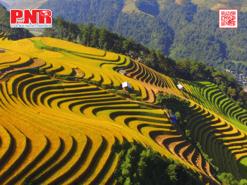 top-5-dia-diem-du-lich-vao-mua-thu-tai-viet-nam